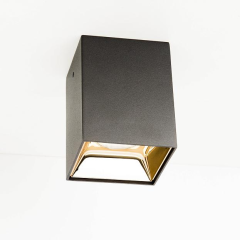 Потолочный накладной светильник черный Код товара: FS965-5w-bk+gd