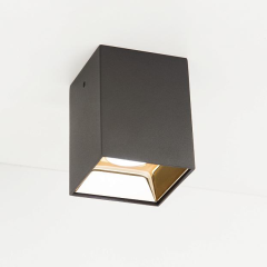 Потолочный накладной светильник черный Код товара: FS965-5w-bk+gd