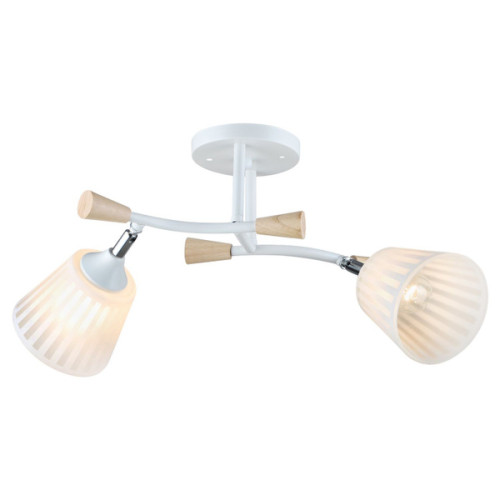 Потолочная люстра N5081/2