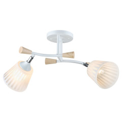 Потолочная люстра N5081/2