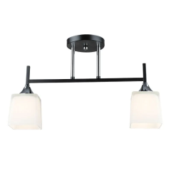 Потолочная люстра N5458/2