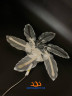 Креативная LED люстра из перьев 7244-6 CR