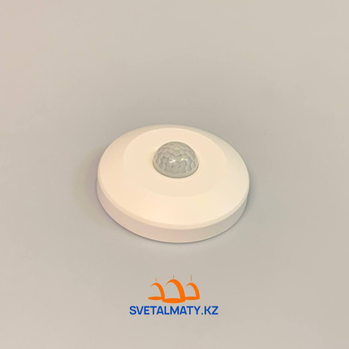 Датчик движения ES-P12D 100W IP20 360/6M FAN