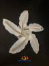 Креативная LED люстра из перьев 7245-5 CR